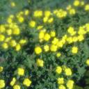 наталья наталья