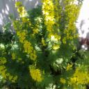 наталья наталья