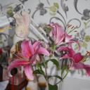 наталья наталья