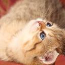 Ирина Пуговкина