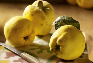 Желе из айвы