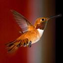 Мария Кизима