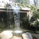 Вера Дуброва