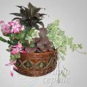 надежда боярчук