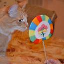 таня антоновская