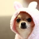 Александра Ярмолюк