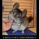 Евгения Подгорная