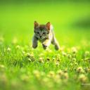 Елена Сухомлинова