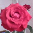 гульназ лутфуллина