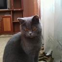 Людмила Сазонова