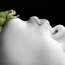 Фрида Розенберг