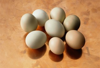 Яйца – лучший завтрак