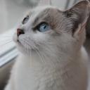 Галина Анашкина