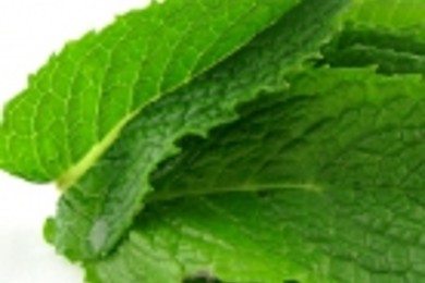 Клубничный коктейль с мятой - приготовление