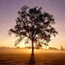 Анатолий Мокшанцев