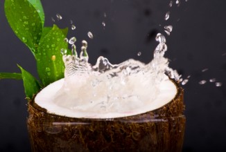 Ученые рассказали о пользе кокосовой воды