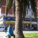 Елена Самардак-Гуренчик