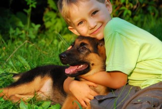 Влияние домашних животных на психическое и физическое здоровье