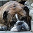 Инна Синькова