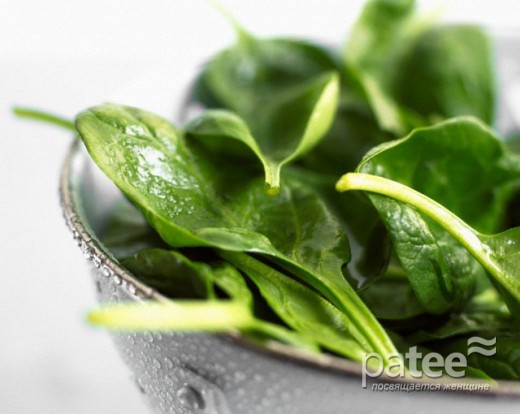 Шпинат может предупреждать рак