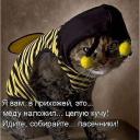 Дарья Коркунова