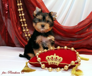 Девушки,есть проблемка