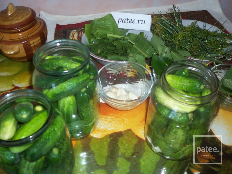 Маринованные огурцы - Шаг 4