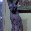 Татьяна Пьянкова