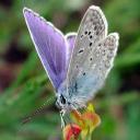 Виктория Гусарова