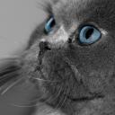 Настена Аверьянова