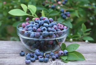 ТОП-5 продуктов для работы мозга