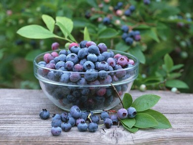 ТОП-5 продуктов для работы мозга