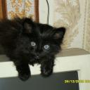 Наталья Фева