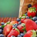 Елена Матюнина