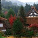 Ольга Хурхурова