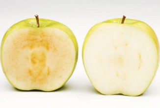 В  Канаде рекламируют ГМО яблоки