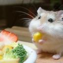 Валерия Соколова