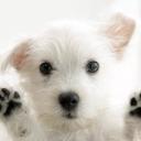 Виктория Макарова