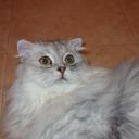 Татьяна Мирзоян