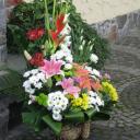 Оксана Хома