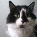 сергей ефимов