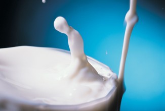 Врачи не рекомендуют пить сырое молоко