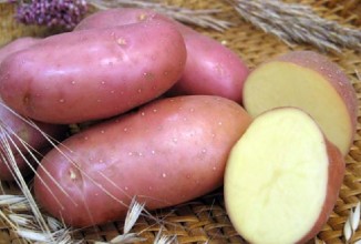 Картофель лечит язву желудка