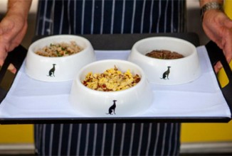 Рестораны увеличивают свою прибыль, приглашая домашних питомцев