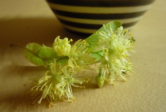 Травяная диета