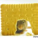 Ольга Скутина