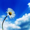 алёна бессонова