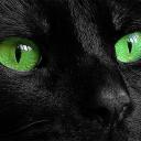 Таня Танюша