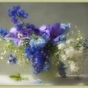 Ирина Ситникова