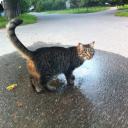 Анна Юловская